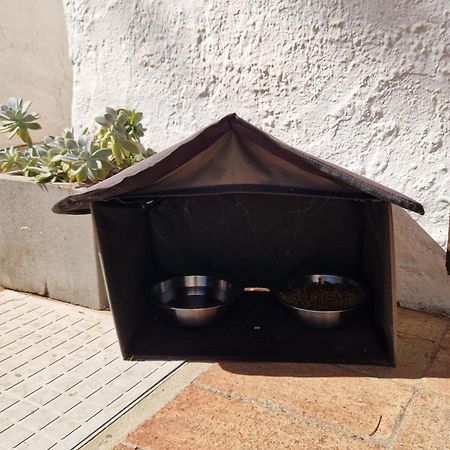 Paulo'S 104 Apartman Albufeira Kültér fotó